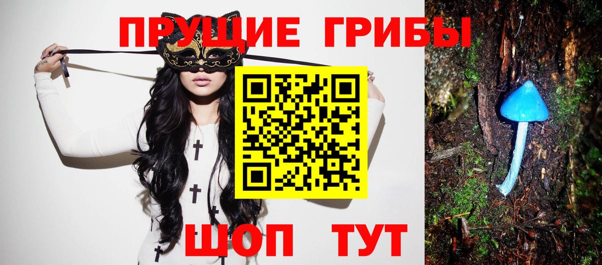 Псилоцибиновые грибы Psilocybine cubensis  Вход с VPN  Алушта 