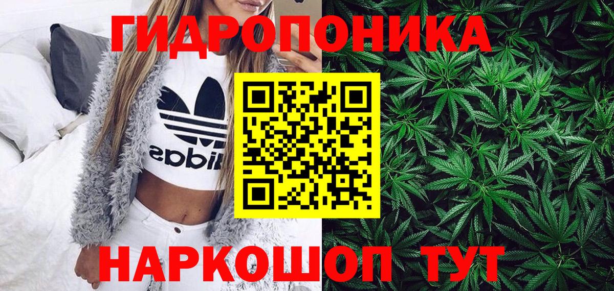 Конопля OG Kush  Каннабис тримм  Вход с VPN  Бошки Шишки Bruce Banner  Алушта 